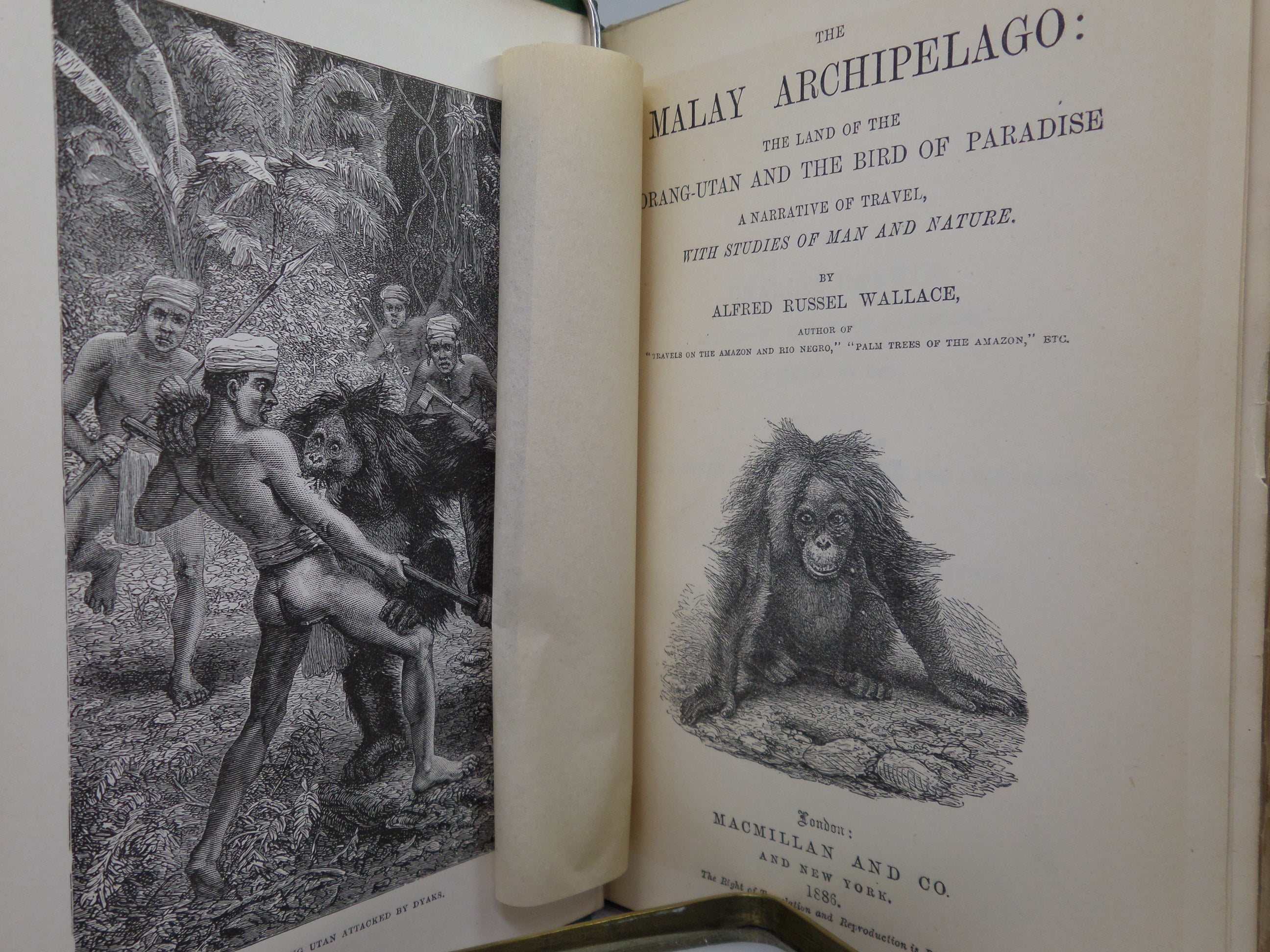 THE MALAY ARCHIPELAGO BY ALFRED RUSSEL WALLACE 1886