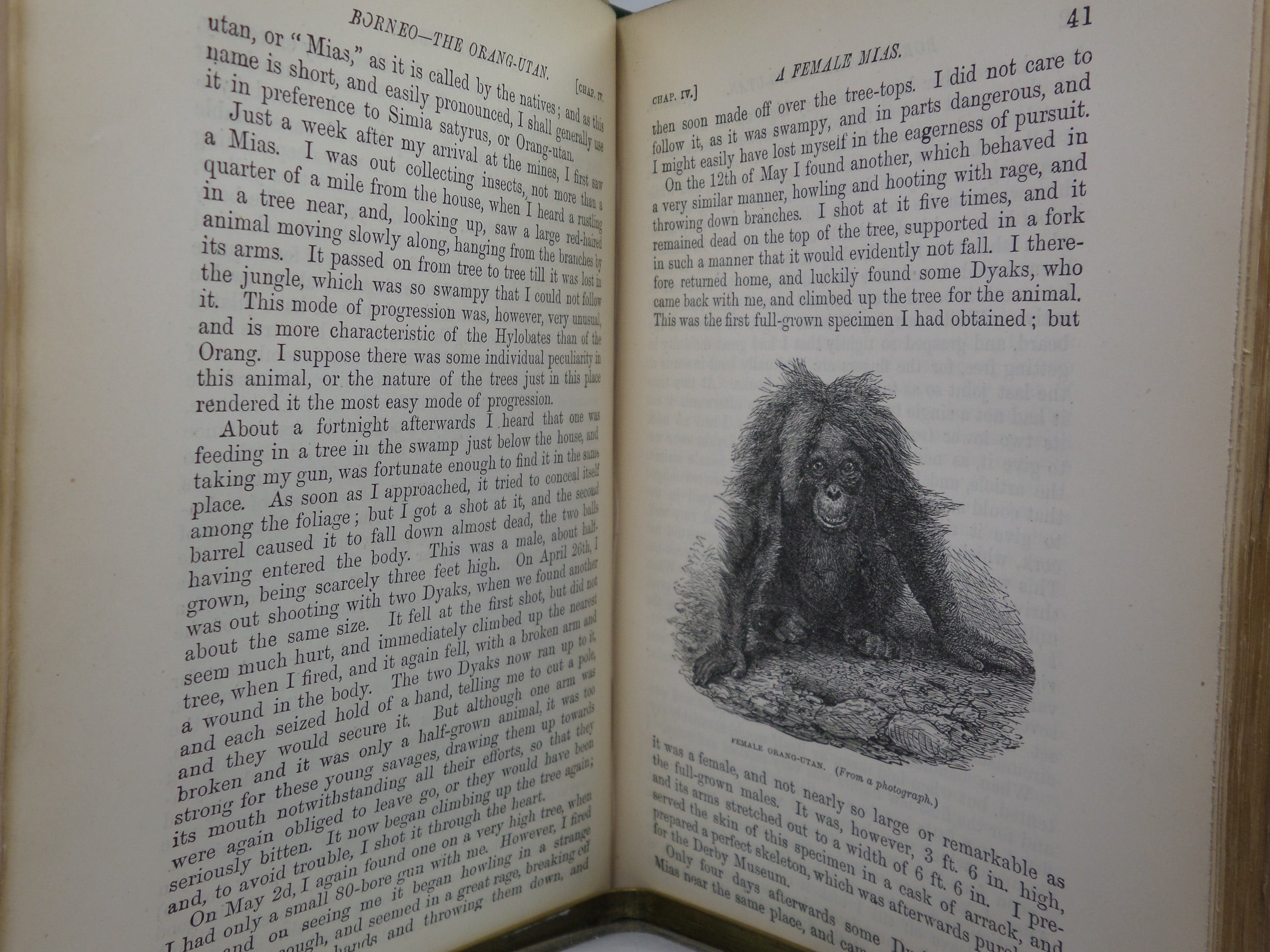 THE MALAY ARCHIPELAGO BY ALFRED RUSSEL WALLACE 1886