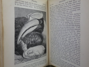 THE MALAY ARCHIPELAGO BY ALFRED RUSSEL WALLACE 1886