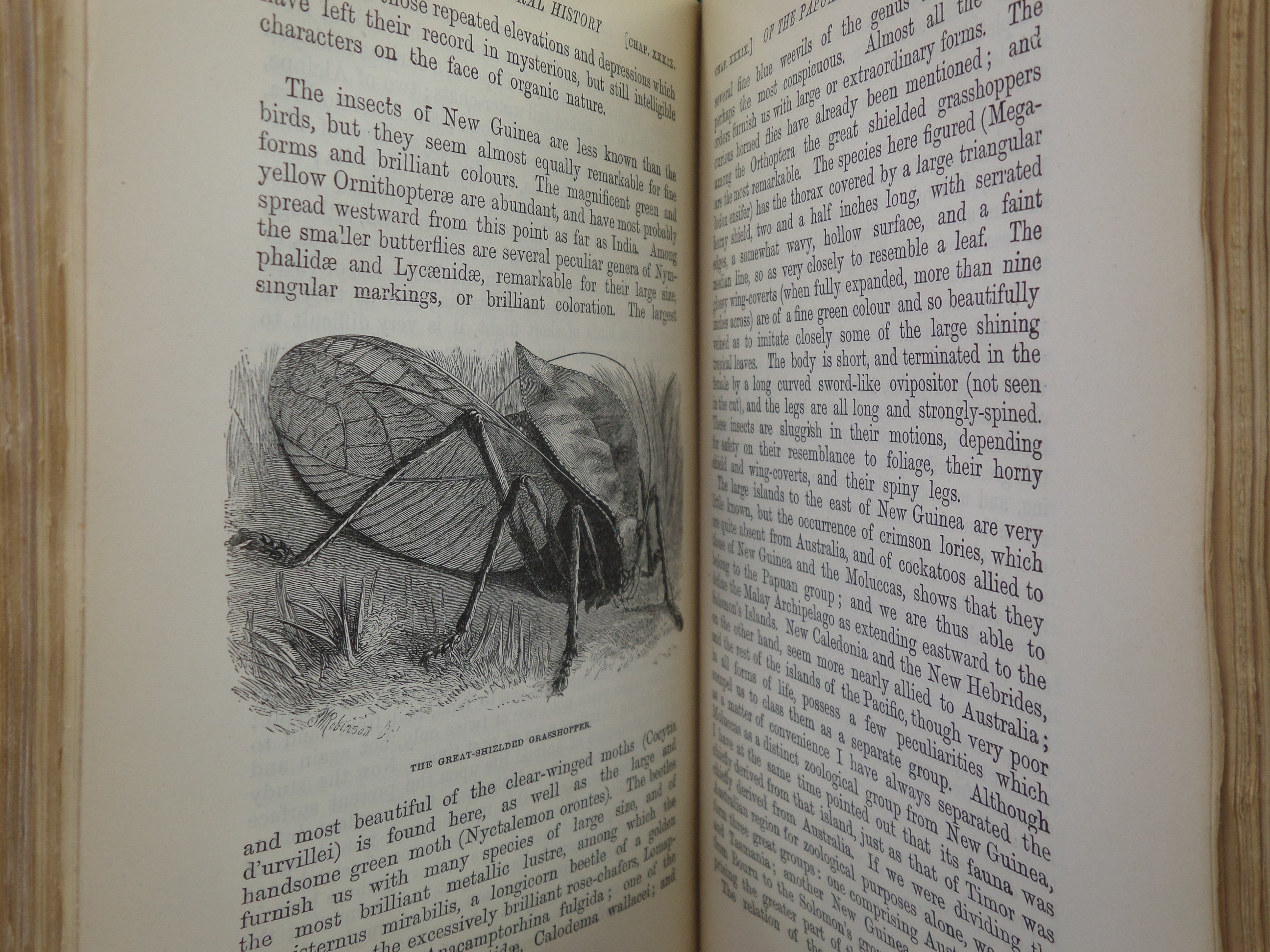 THE MALAY ARCHIPELAGO BY ALFRED RUSSEL WALLACE 1886