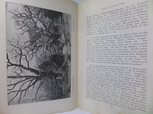 GIPSIES OF THE NEW FOREST AND OTHER TALES BY H.E.J. GIBBINS 1909 FIRST EDITION
