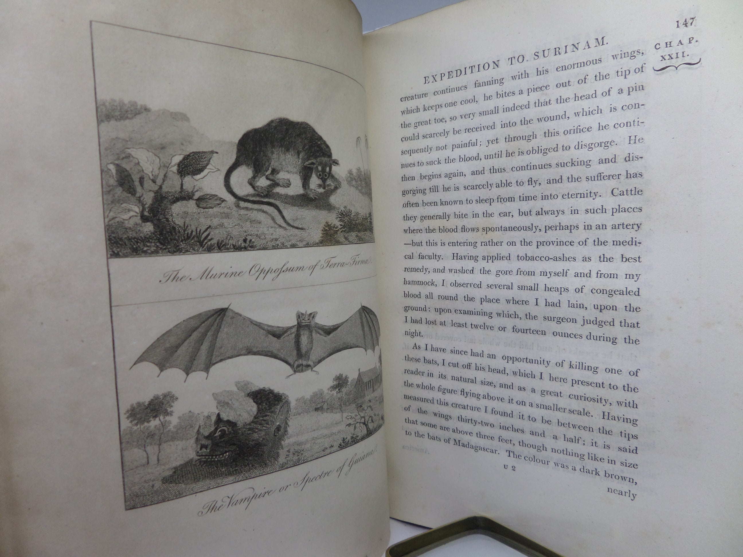 NARRATIVE OF A FIVE YEARS EXPEDITION AGAINST THE REVOLTED NEGROES OF SURINAM 1806 STEDMAN