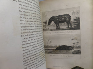 NARRATIVE OF A FIVE YEARS EXPEDITION AGAINST THE REVOLTED NEGROES OF SURINAM 1806 STEDMAN