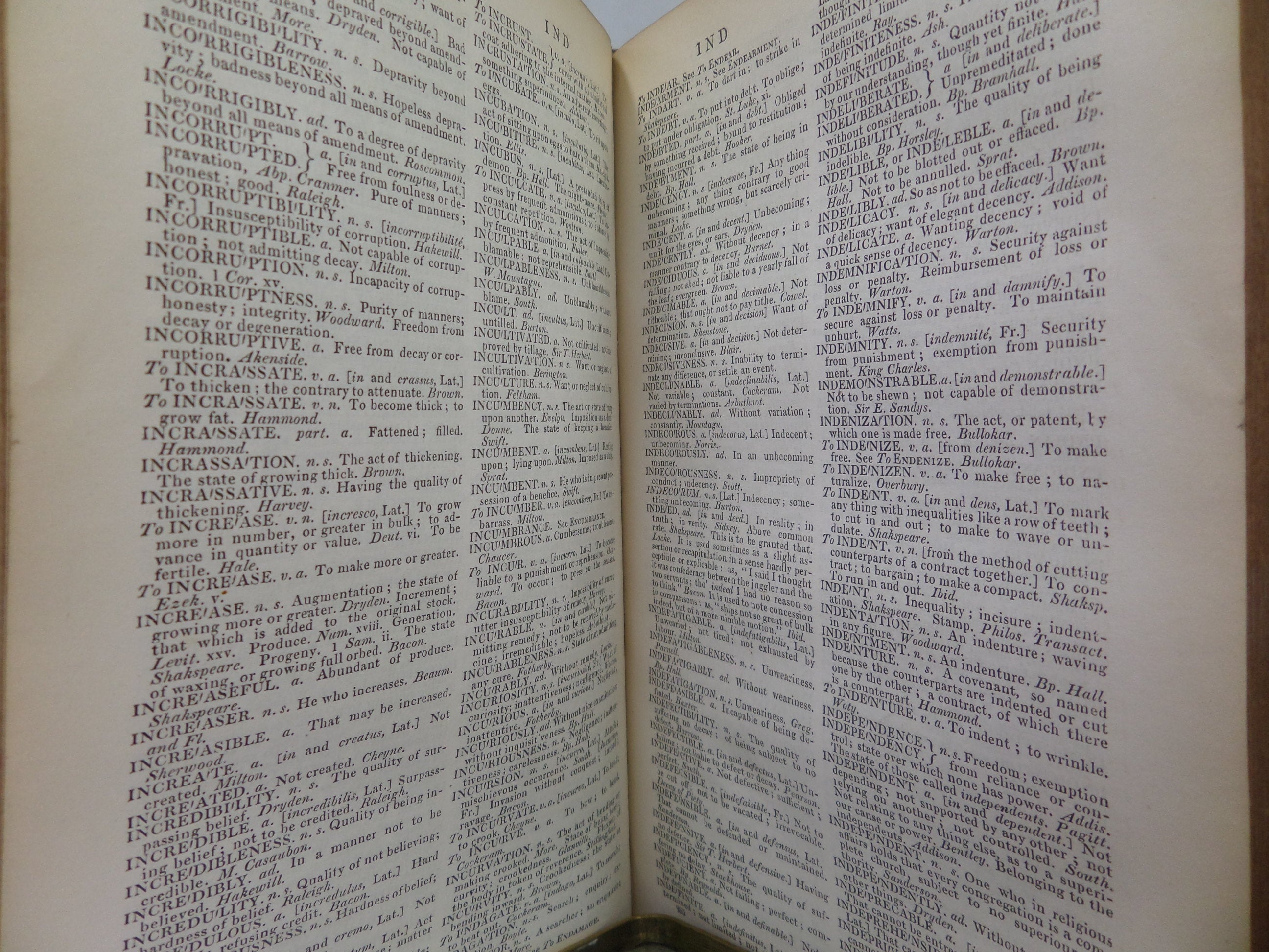 A DICTIONARY OF THE ENGLISH LANGUAGE BY SAMUEL JOHNSON 1843 LEATHER-BOUND