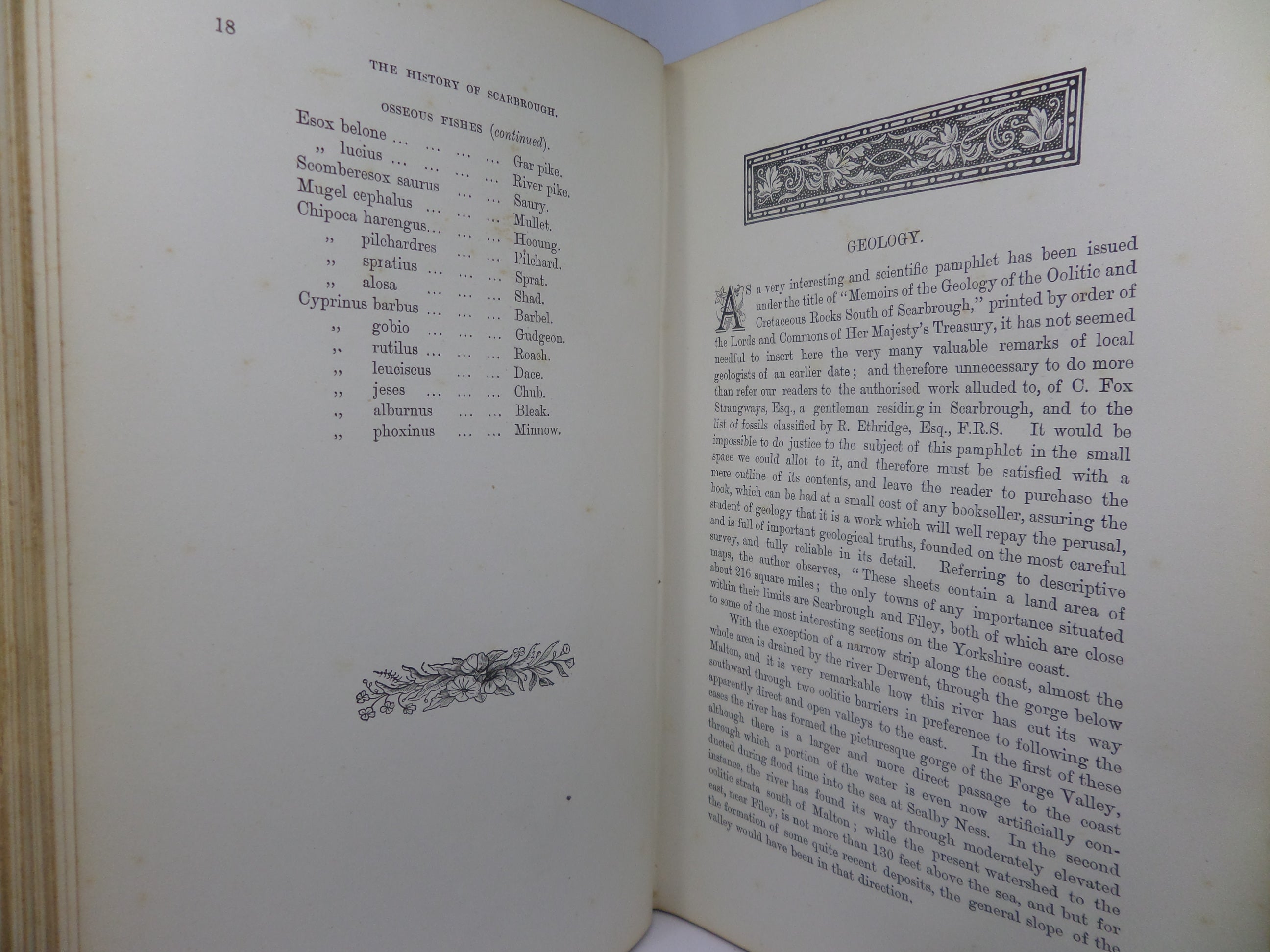 THE HISTORY OF SCARBROUGH BY JOSEPH BROGDEN BAKER 1882 FIRST EDITION