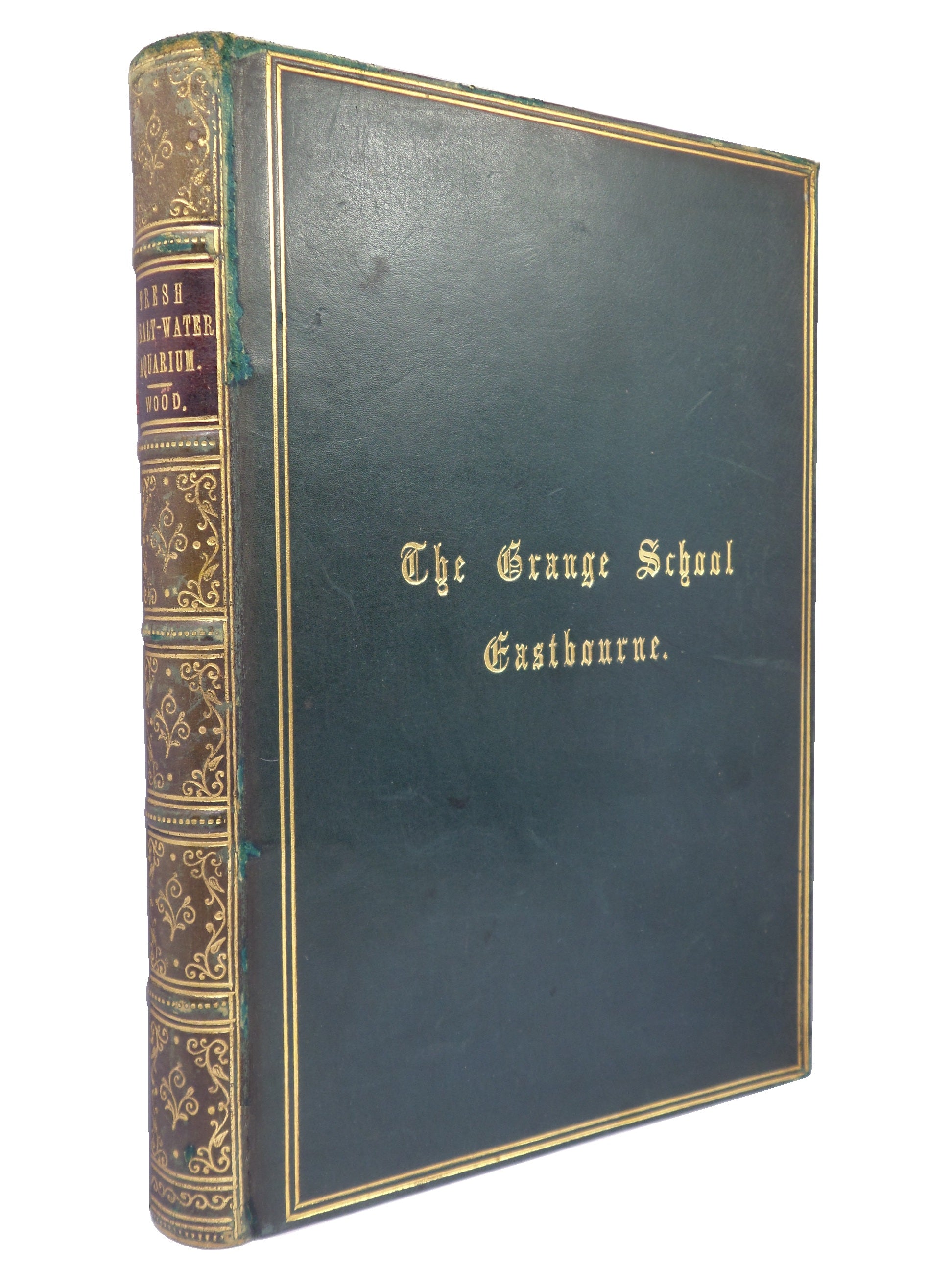 THE FRESH & SALT-WATER AQUARIUM BY J.G. WOOD 1868 FIRST EDITION, LEATHER-BOUND