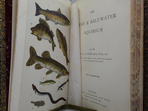 THE FRESH & SALT-WATER AQUARIUM BY J.G. WOOD 1868 FIRST EDITION, LEATHER-BOUND