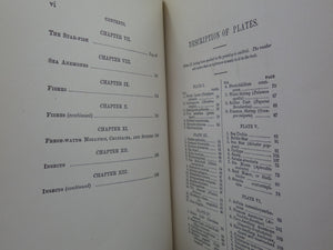 THE FRESH & SALT-WATER AQUARIUM BY J.G. WOOD 1868 FIRST EDITION, LEATHER-BOUND