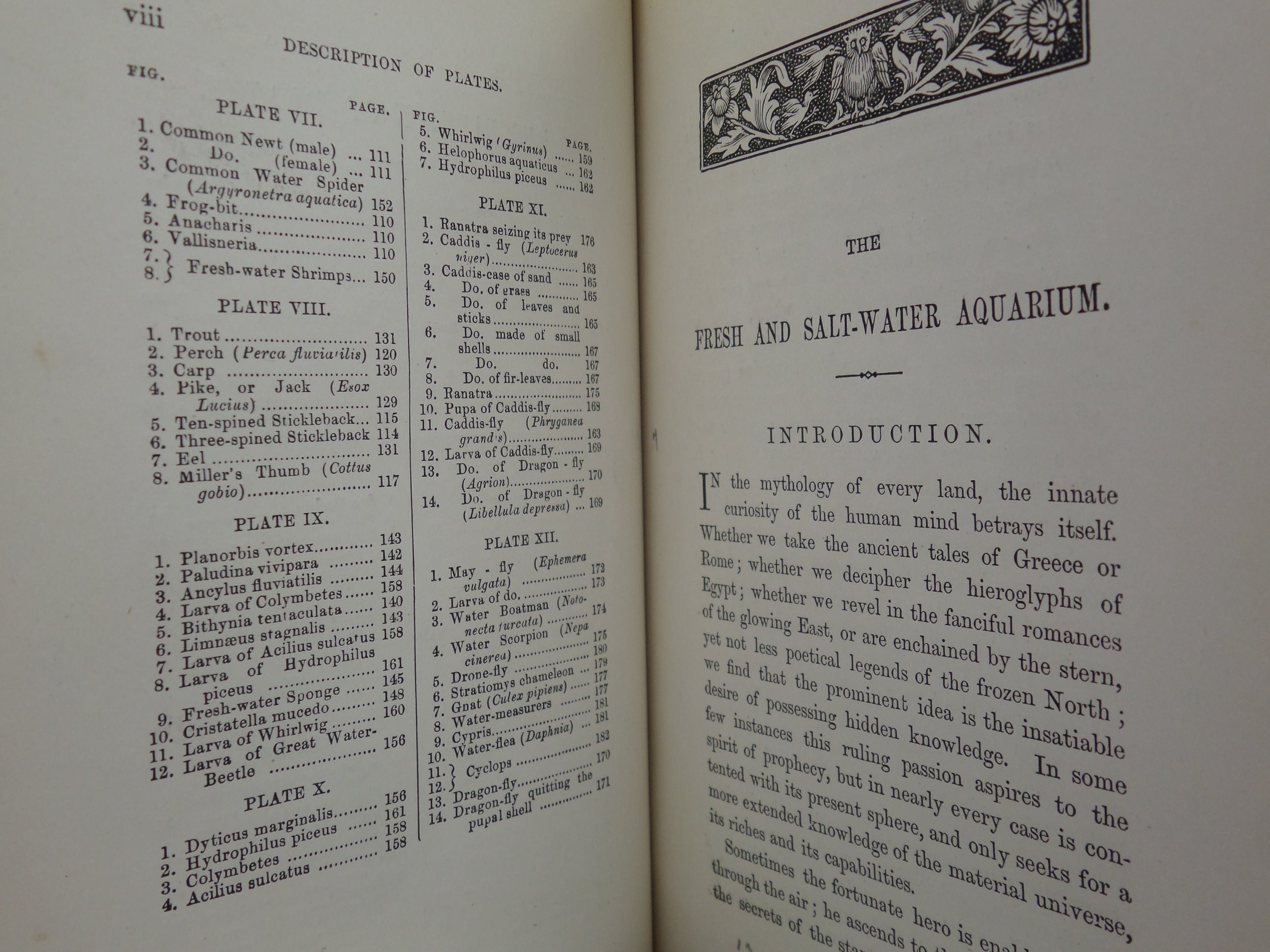 THE FRESH & SALT-WATER AQUARIUM BY J.G. WOOD 1868 FIRST EDITION, LEATHER-BOUND