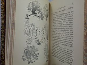 THE FRESH & SALT-WATER AQUARIUM BY J.G. WOOD 1868 FIRST EDITION, LEATHER-BOUND