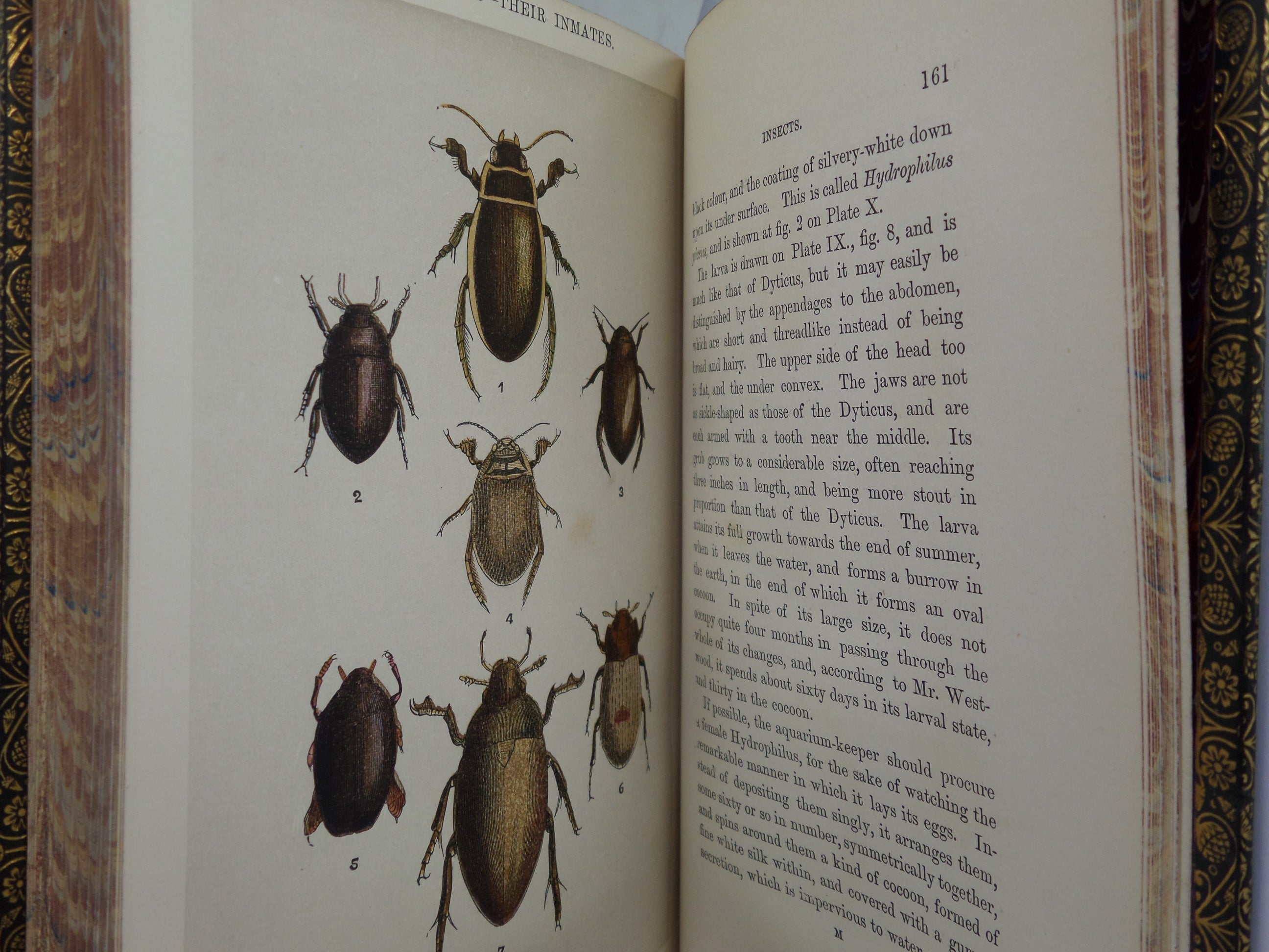 THE FRESH & SALT-WATER AQUARIUM BY J.G. WOOD 1868 FIRST EDITION, LEATHER-BOUND