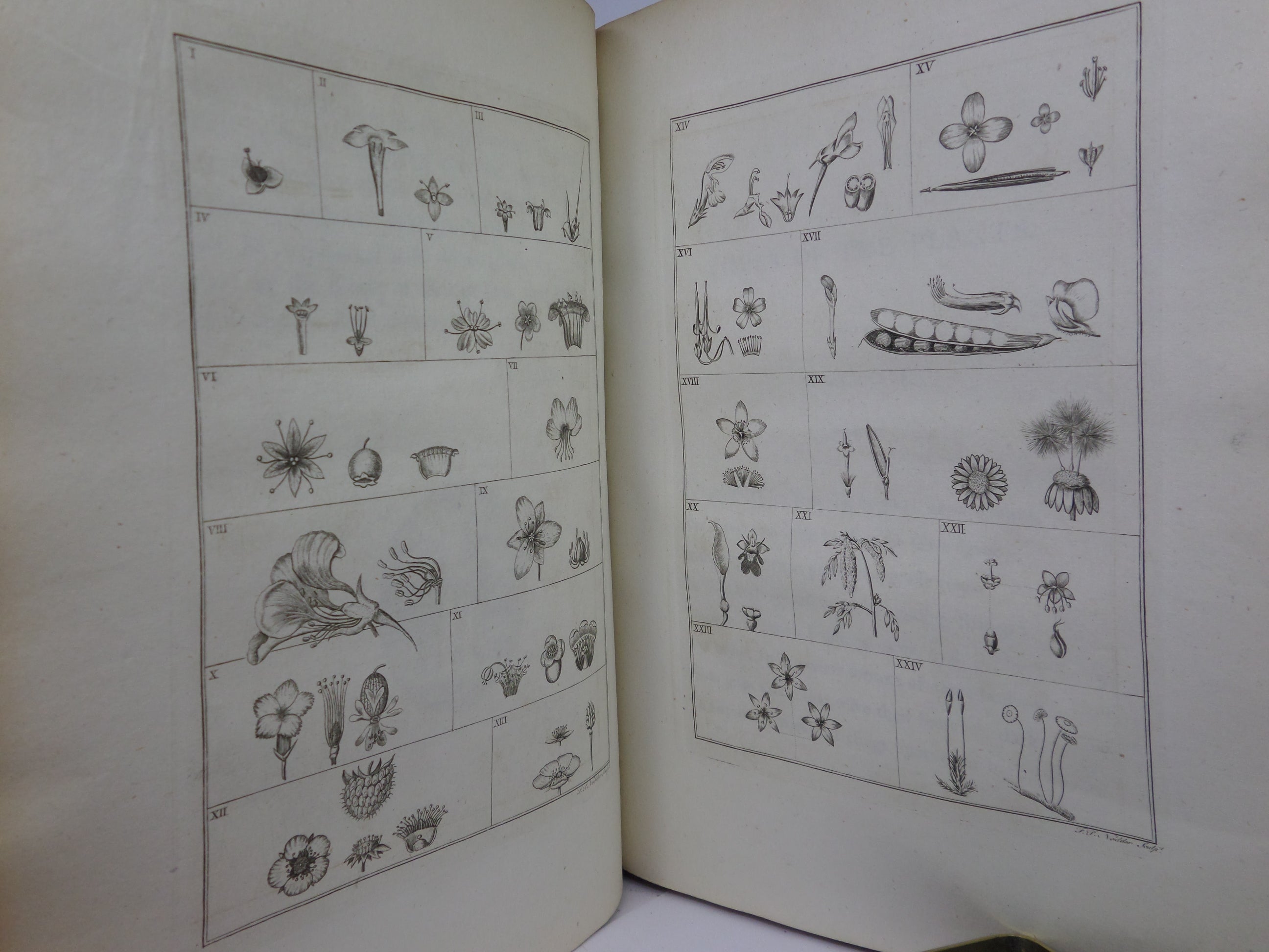 THE BOTANIC GARDEN BY ERASMUS DARWIN 1794-75 LEATHER-BOUND