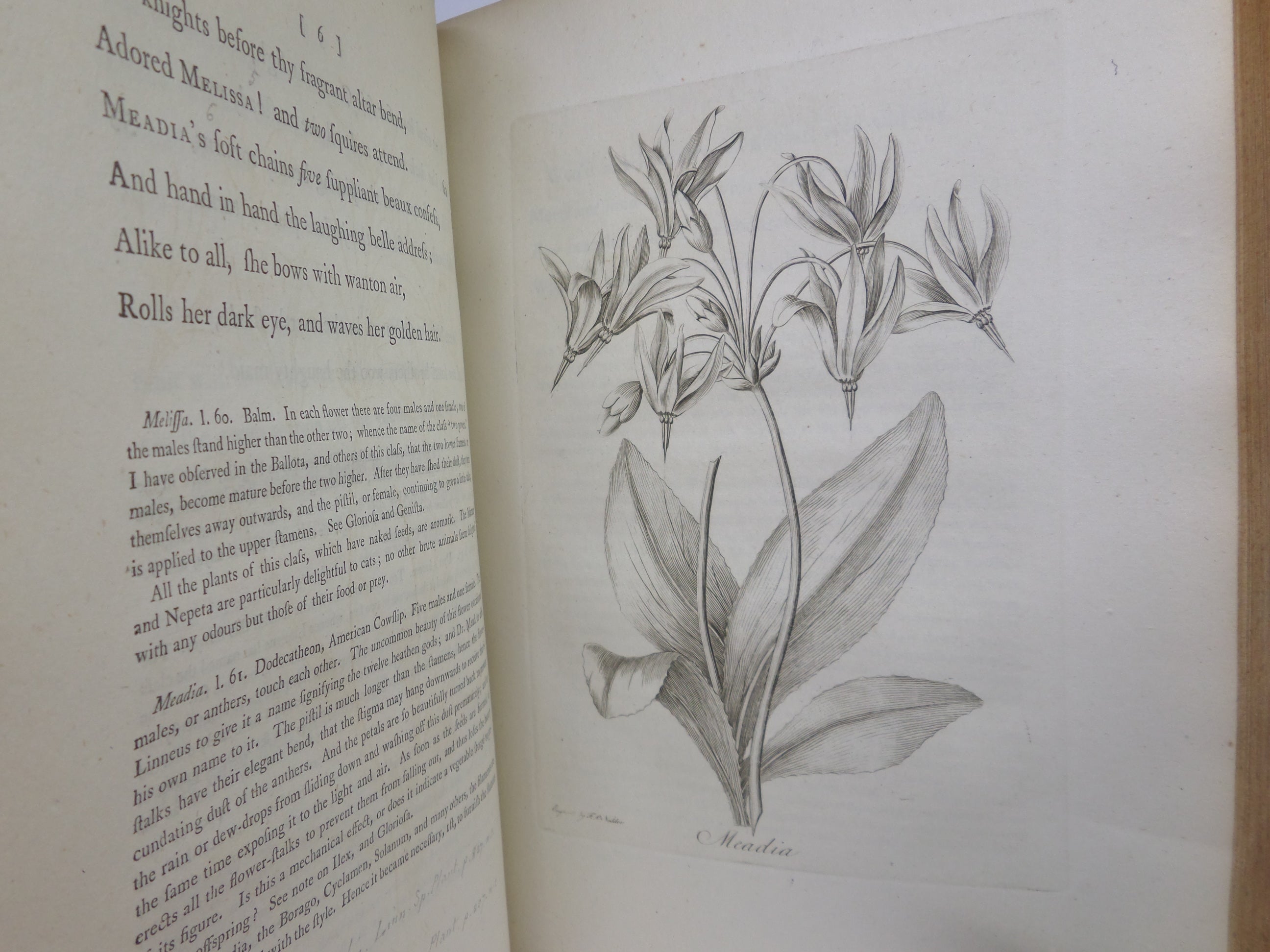 THE BOTANIC GARDEN BY ERASMUS DARWIN 1794-75 LEATHER-BOUND