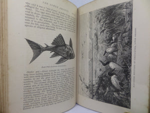 THE NATURALIST ON THE RIVER AMAZONS BY HENRY WALTER BATES 1879 FIFTH EDITION
