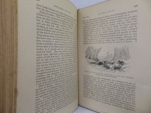 THE NATURALIST ON THE RIVER AMAZONS BY HENRY WALTER BATES 1879 FIFTH EDITION