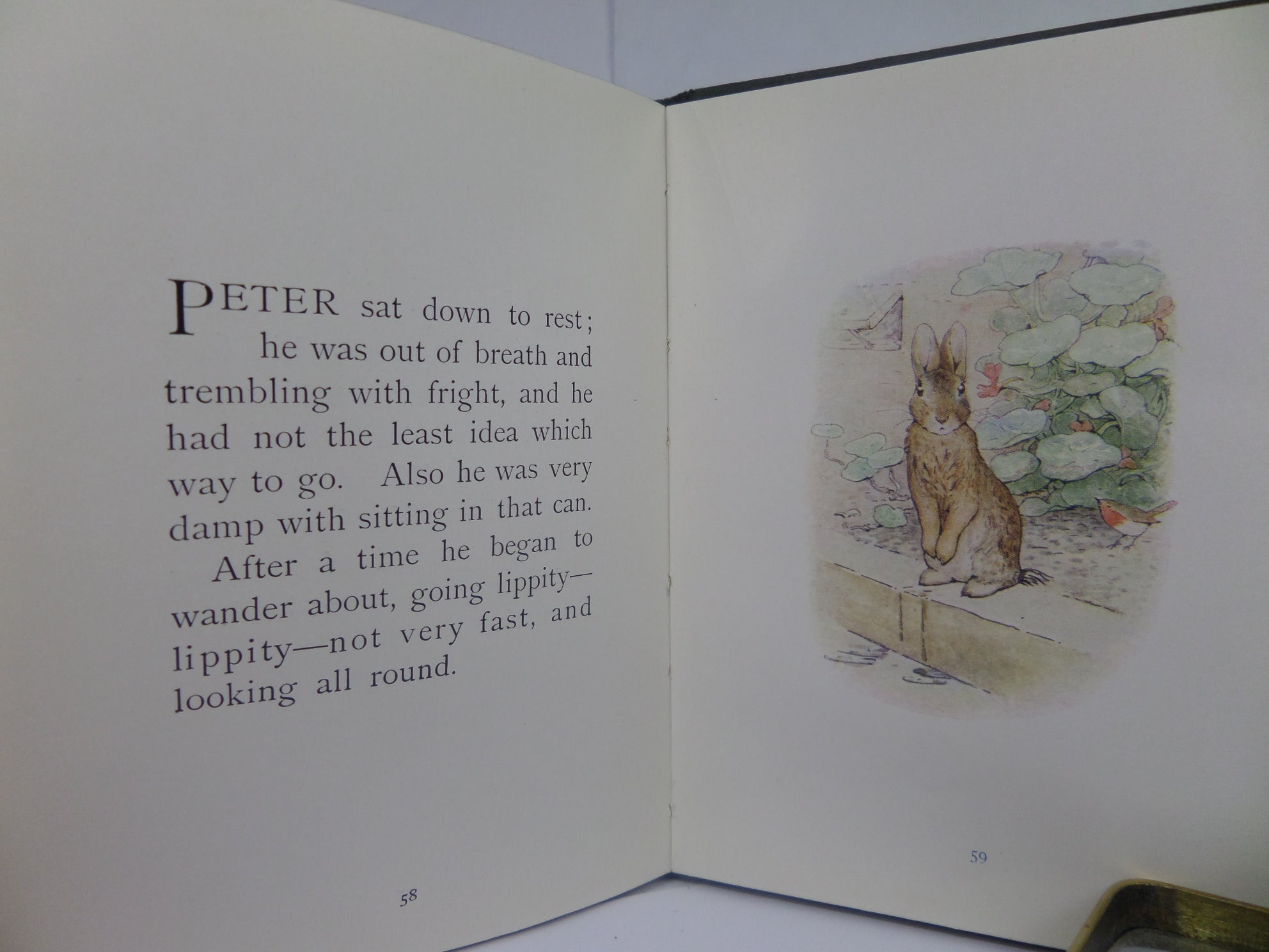 THE TALE OF PETER RABBIT BY BEATRIX POTTER CIRCA 1909 EARLY PRINTING