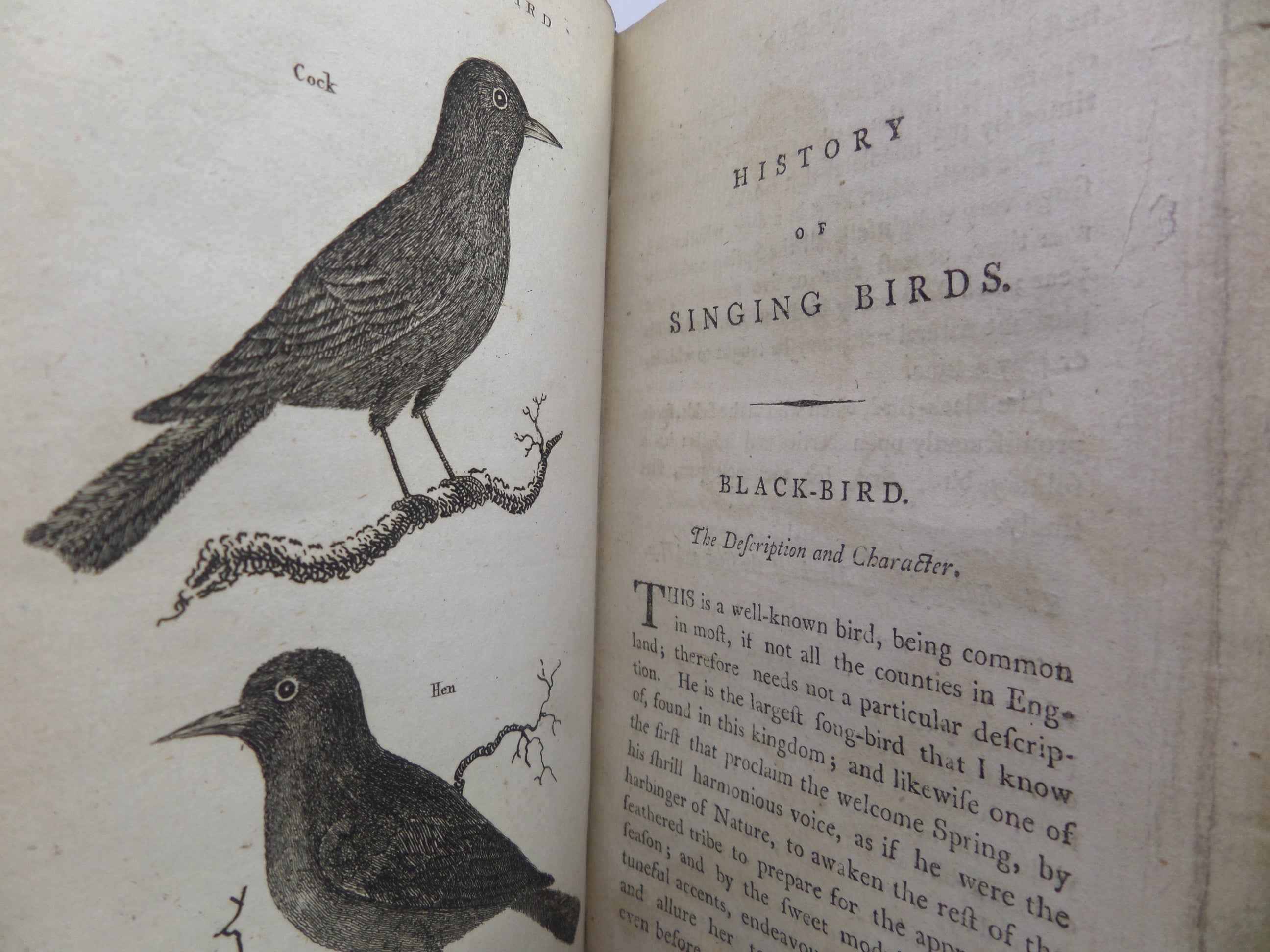 THE HISTORY OF SINGING BIRDS BY COUNT DE BUFFON 1791 FIRST EDITION