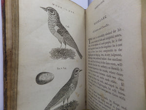 THE HISTORY OF SINGING BIRDS BY COUNT DE BUFFON 1791 FIRST EDITION