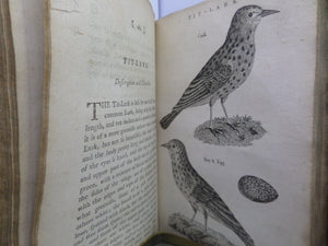 THE HISTORY OF SINGING BIRDS BY COUNT DE BUFFON 1791 FIRST EDITION