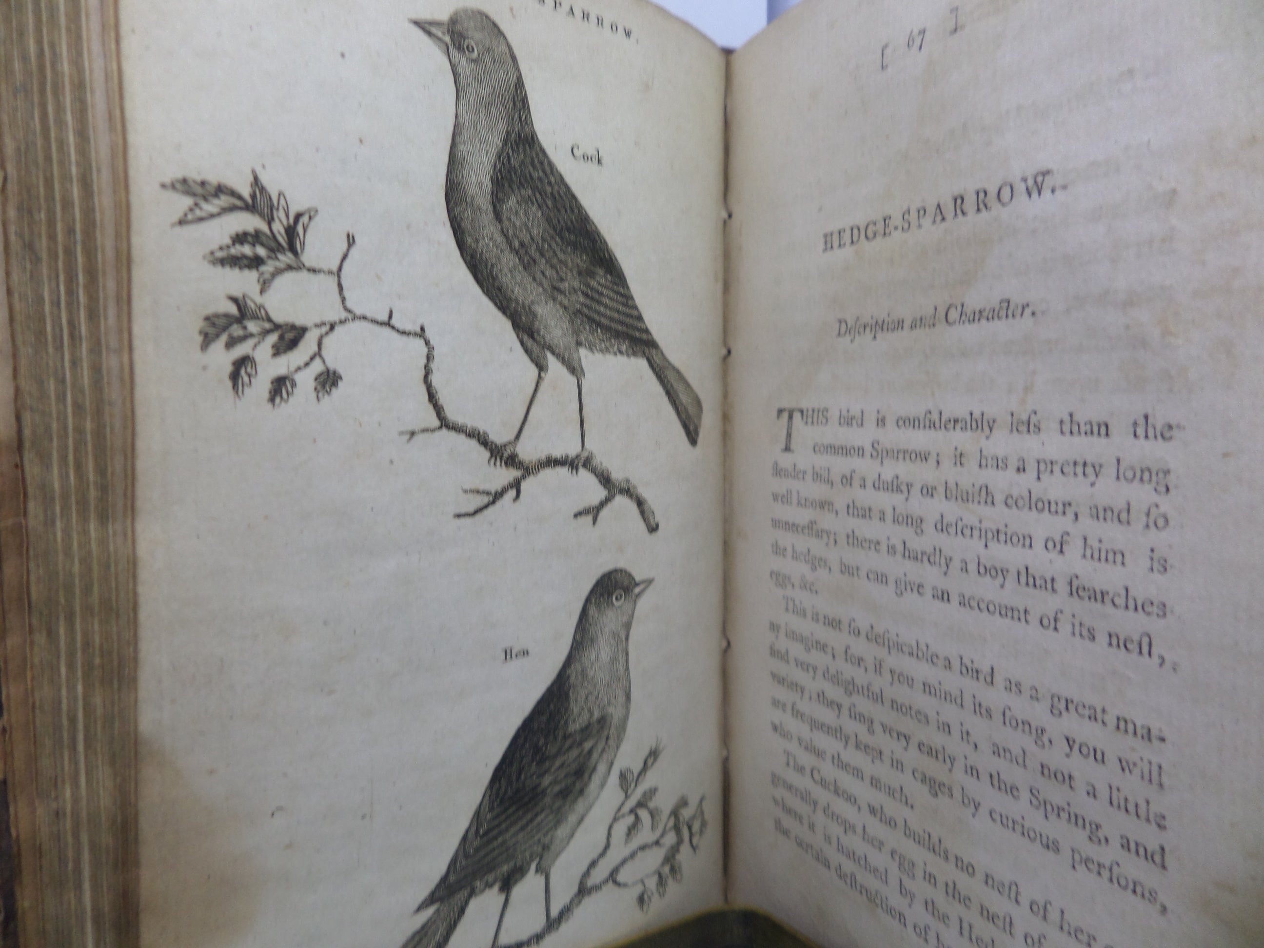 THE HISTORY OF SINGING BIRDS BY COUNT DE BUFFON 1791 FIRST EDITION