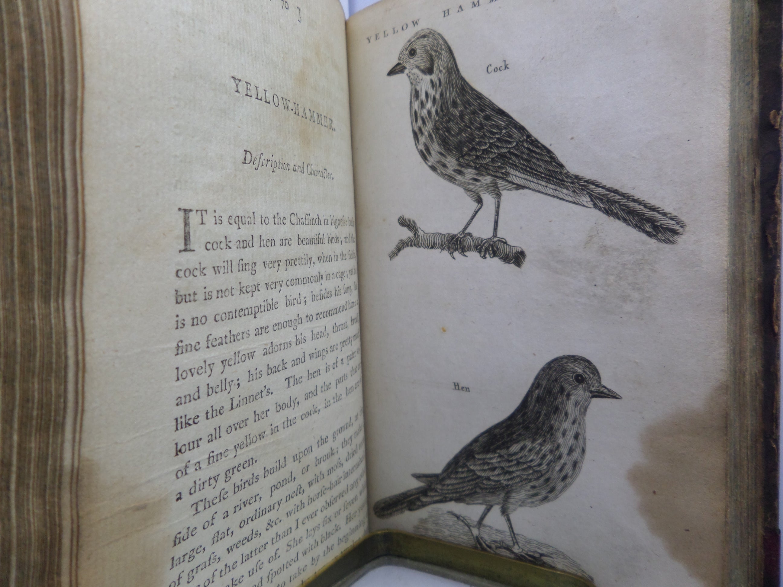 THE HISTORY OF SINGING BIRDS BY COUNT DE BUFFON 1791 FIRST EDITION