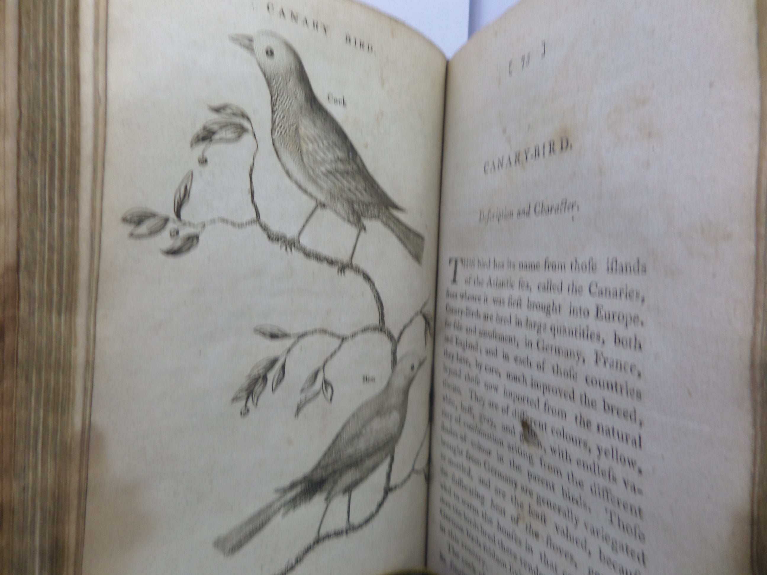 THE HISTORY OF SINGING BIRDS BY COUNT DE BUFFON 1791 FIRST EDITION