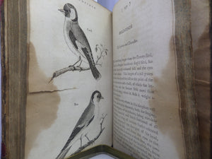 THE HISTORY OF SINGING BIRDS BY COUNT DE BUFFON 1791 FIRST EDITION