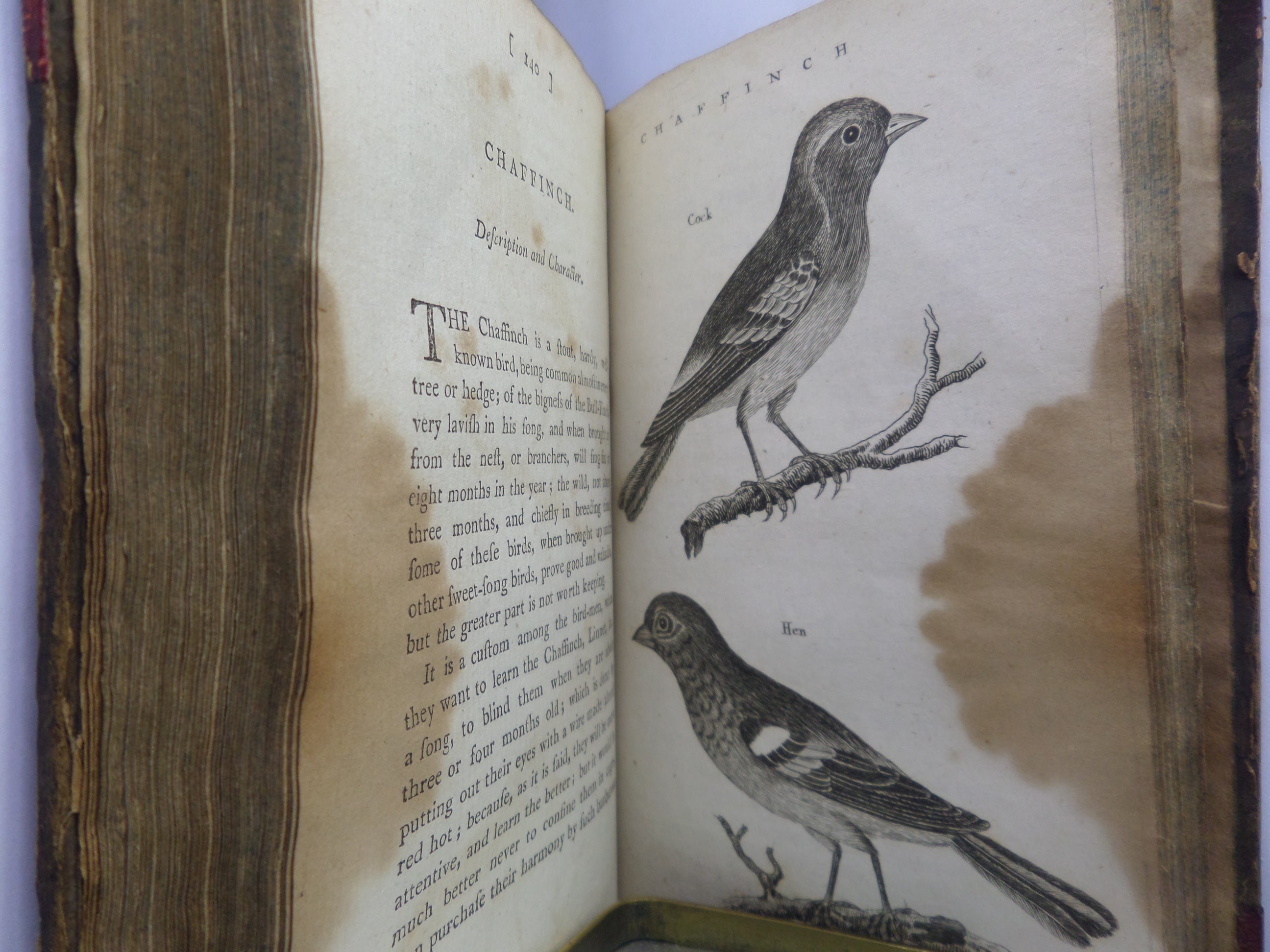 THE HISTORY OF SINGING BIRDS BY COUNT DE BUFFON 1791 FIRST EDITION