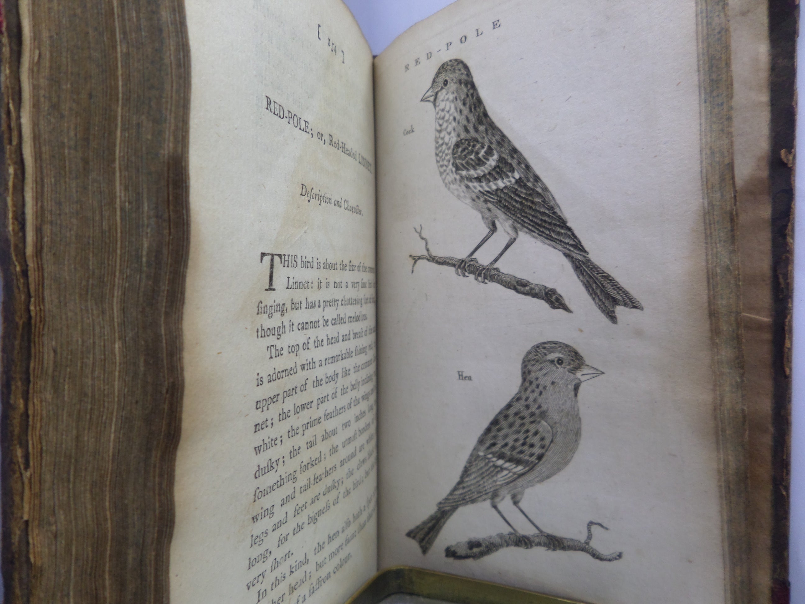 THE HISTORY OF SINGING BIRDS BY COUNT DE BUFFON 1791 FIRST EDITION