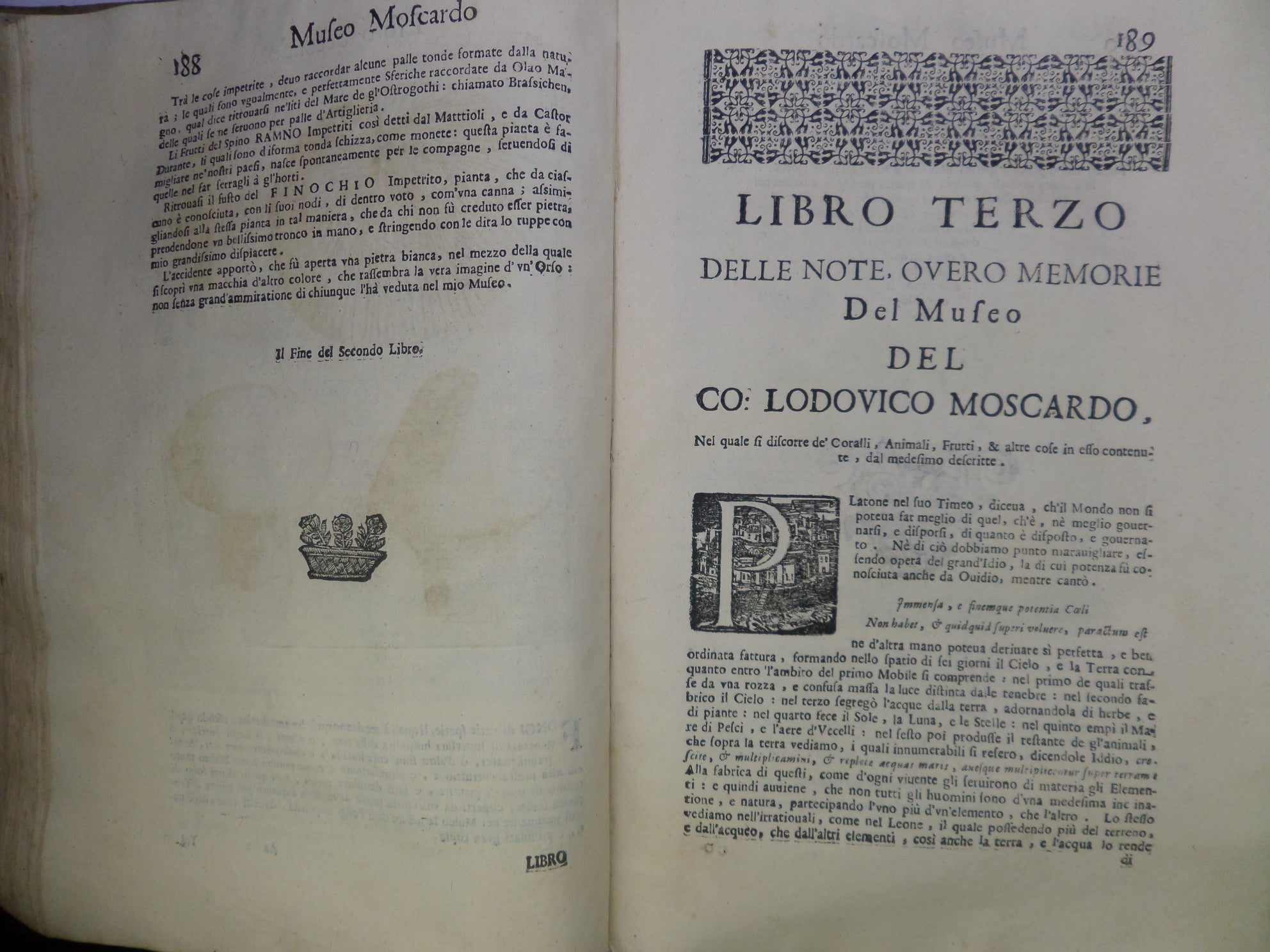 [CATALOGUE OF CURIOSITIES] NOTE OVERO MEMORIE DEL MUSEO DI LODOVICO MOSCARDO 1672 RARE SECOND EDITION