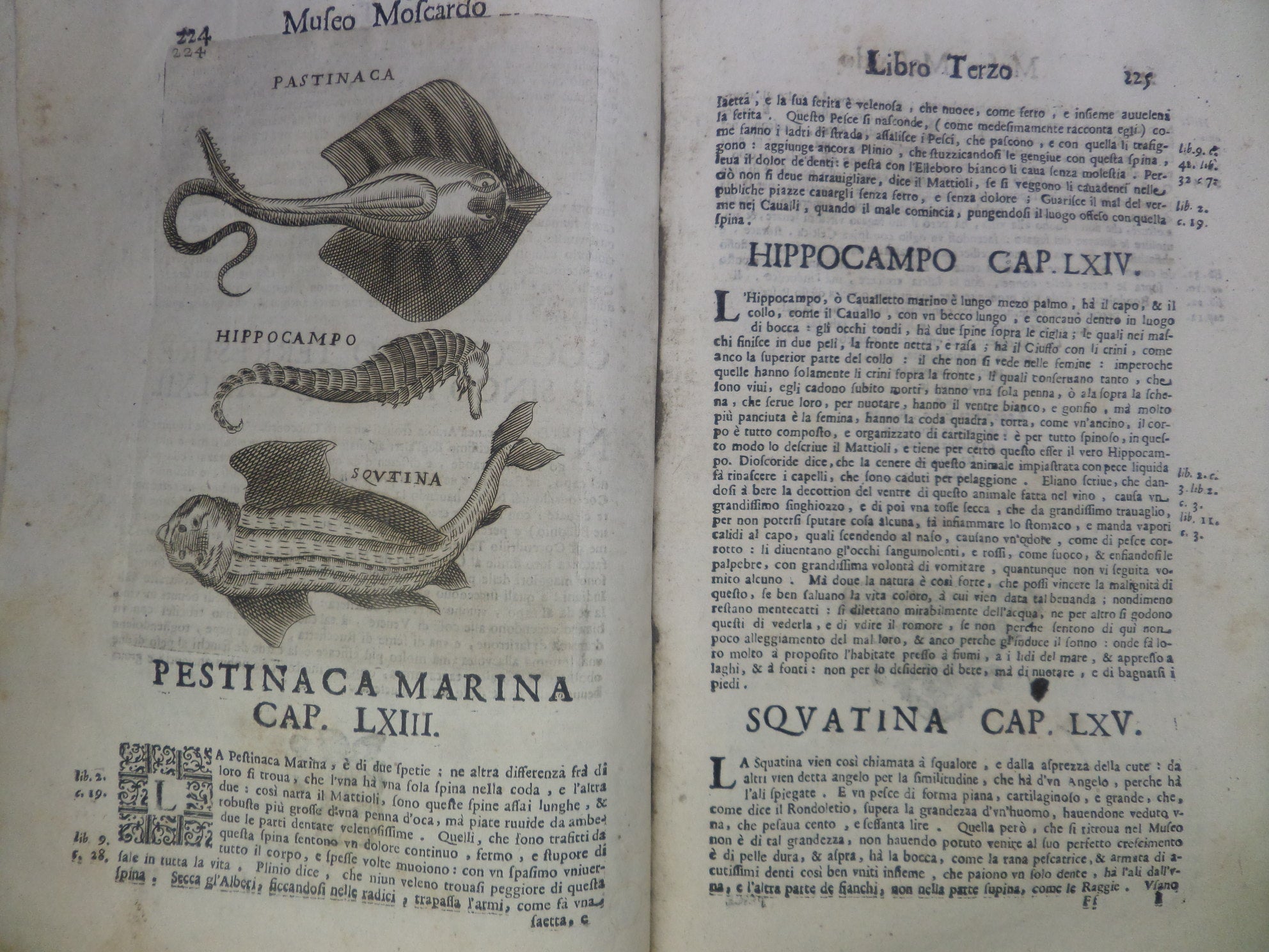 [CATALOGUE OF CURIOSITIES] NOTE OVERO MEMORIE DEL MUSEO DI LODOVICO MOSCARDO 1672 RARE SECOND EDITION