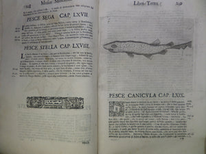 [CATALOGUE OF CURIOSITIES] NOTE OVERO MEMORIE DEL MUSEO DI LODOVICO MOSCARDO 1672 RARE SECOND EDITION