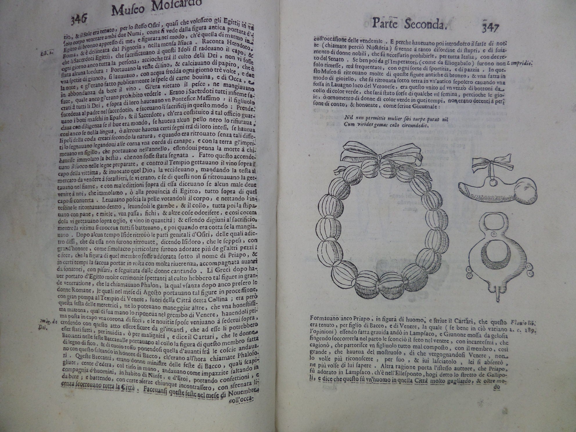 [CATALOGUE OF CURIOSITIES] NOTE OVERO MEMORIE DEL MUSEO DI LODOVICO MOSCARDO 1672 RARE SECOND EDITION