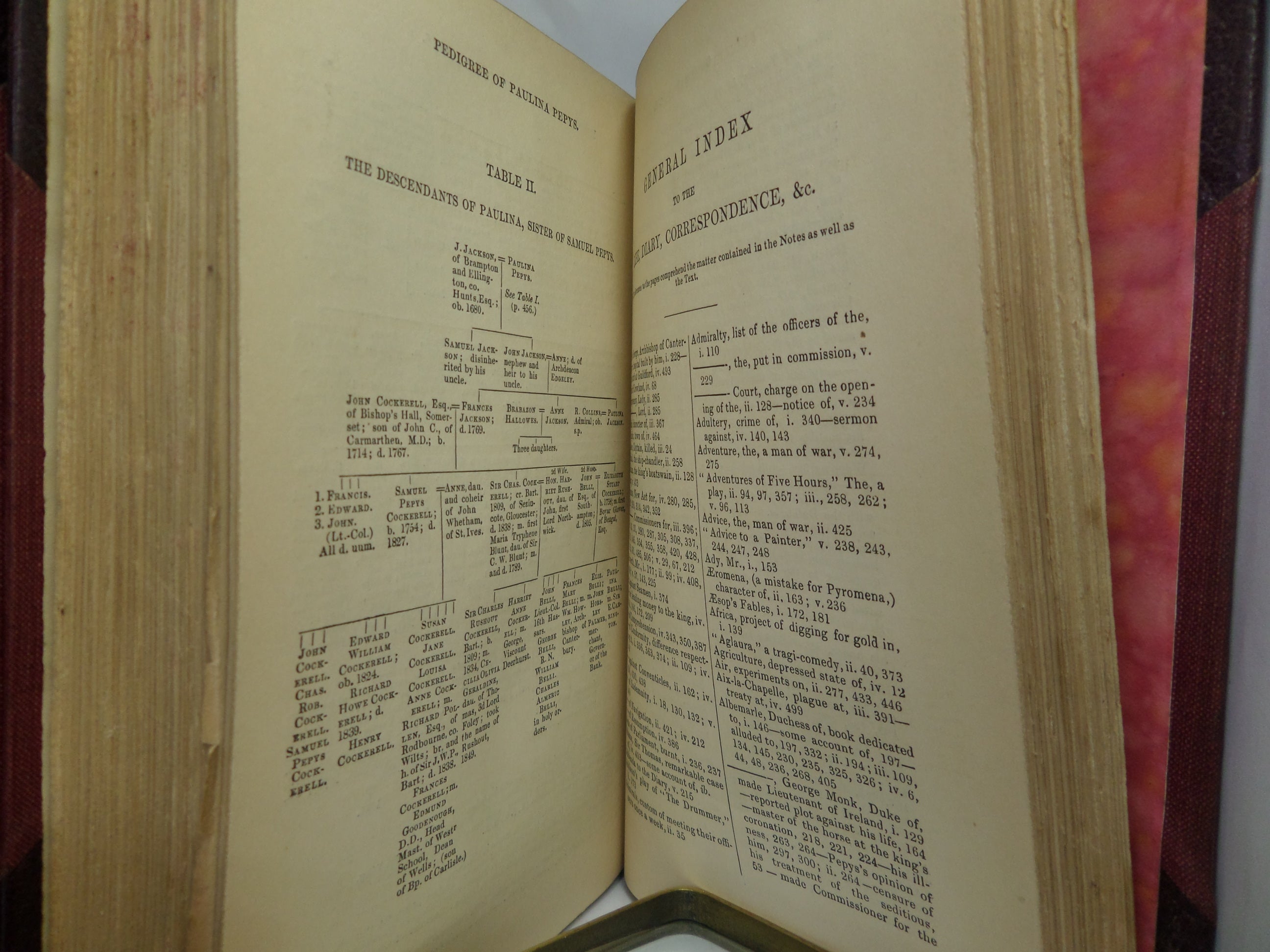 THE DIARY OF SAMUEL PEPYS 1848-49 LEATHER BOUND IN FIVE VOLUMES