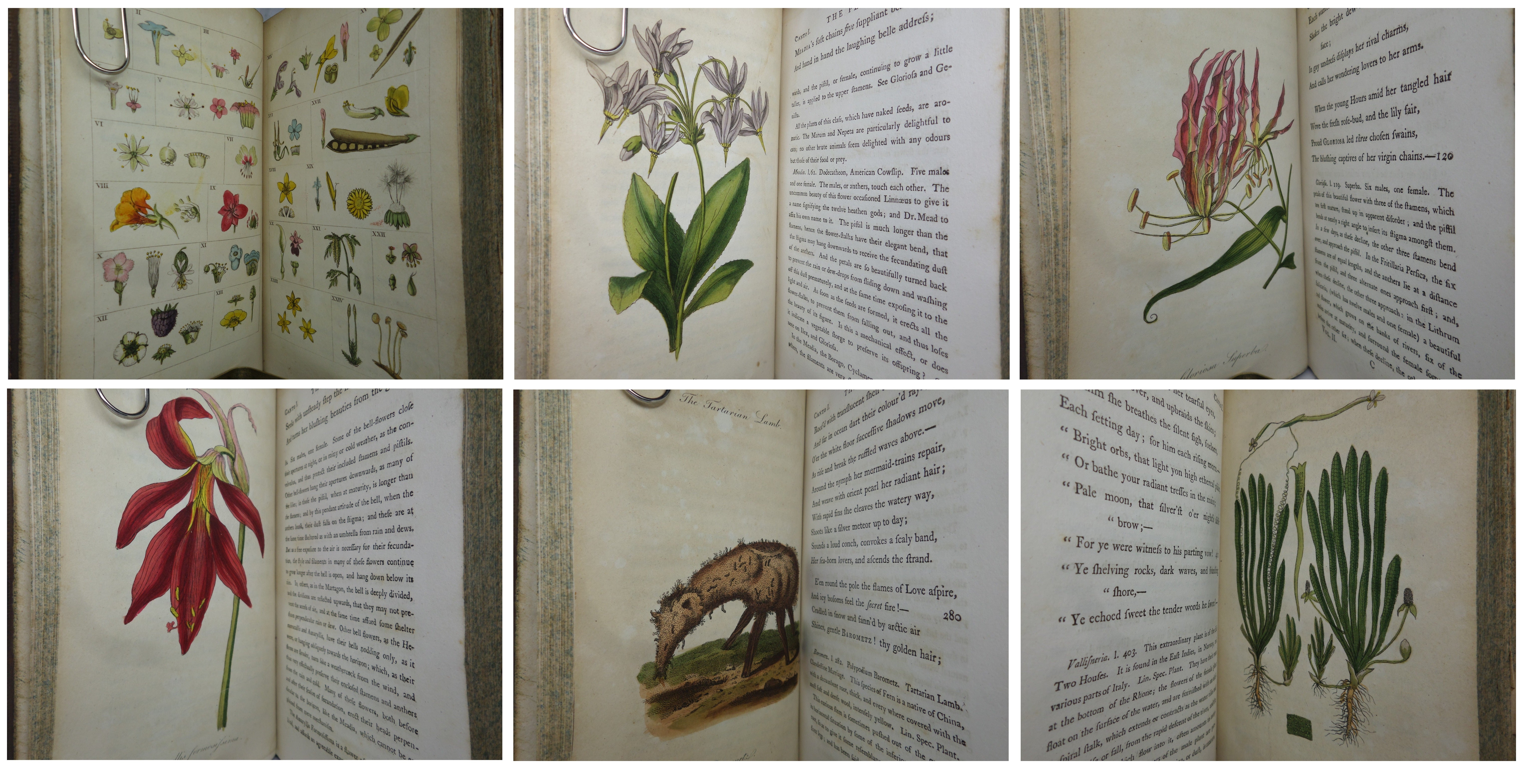 THE POETICAL WORKS OF ERASMUS DARWIN 1806 FIRST EDITION IN THREE VOLUMES, WILLIAM BLAKE ILLUSTRATIONS