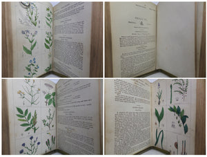 NEW CYCLOPAEDIA OF BOTANY AND COMPLETE BOOK OF HERBS BY RICHARD BROOK IN TWO VOLUMES C.1854
