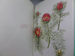 THE BOOK OF MEDITERRANEAN PEONIES BY GIAN LUPO OSTI 2006 FIRST EDITION HARDCOVER