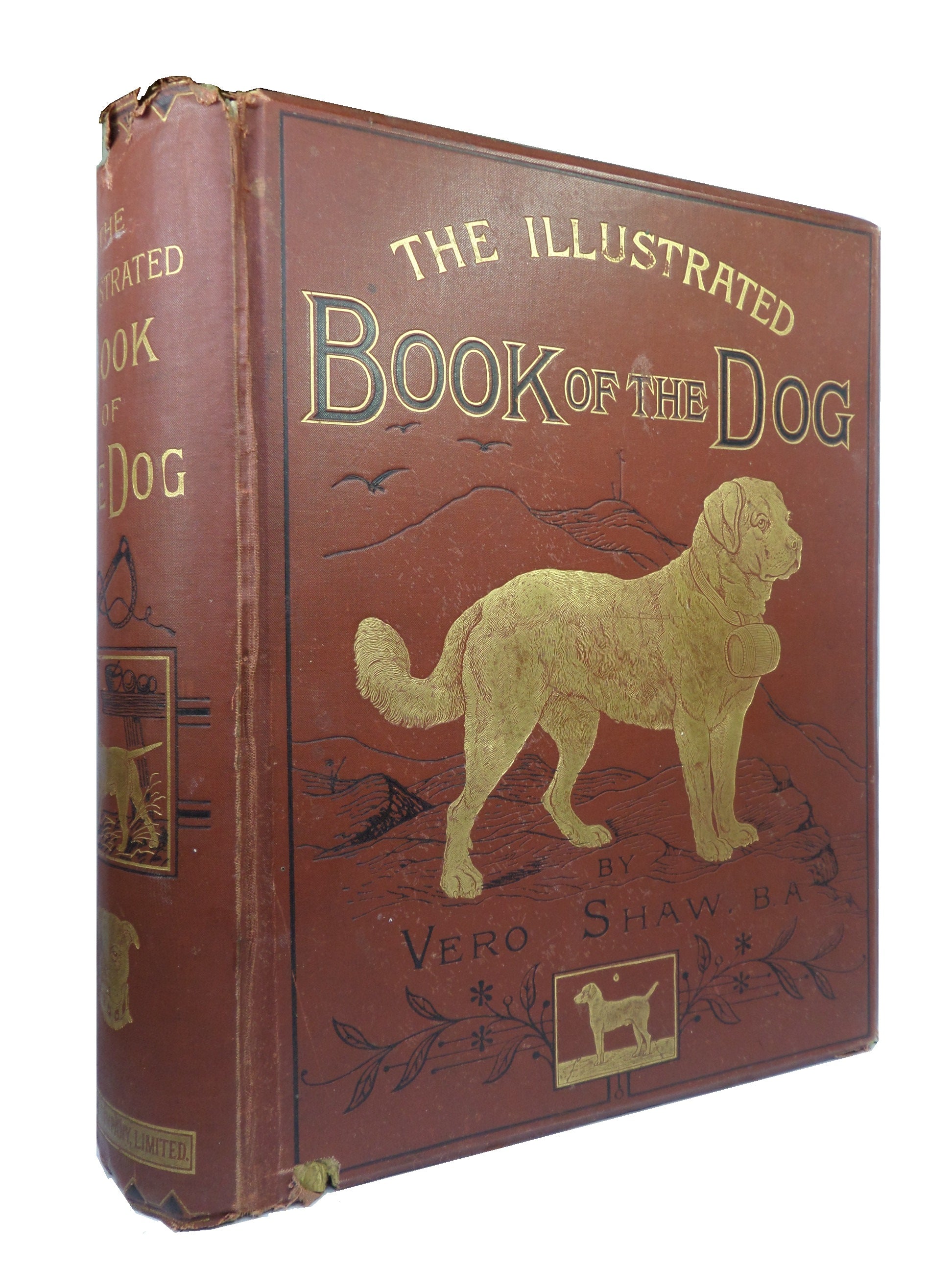 THE ILLUSTRATED BOOK OF THE DOG BY VERO SHAW 1881 FIRST EDITION