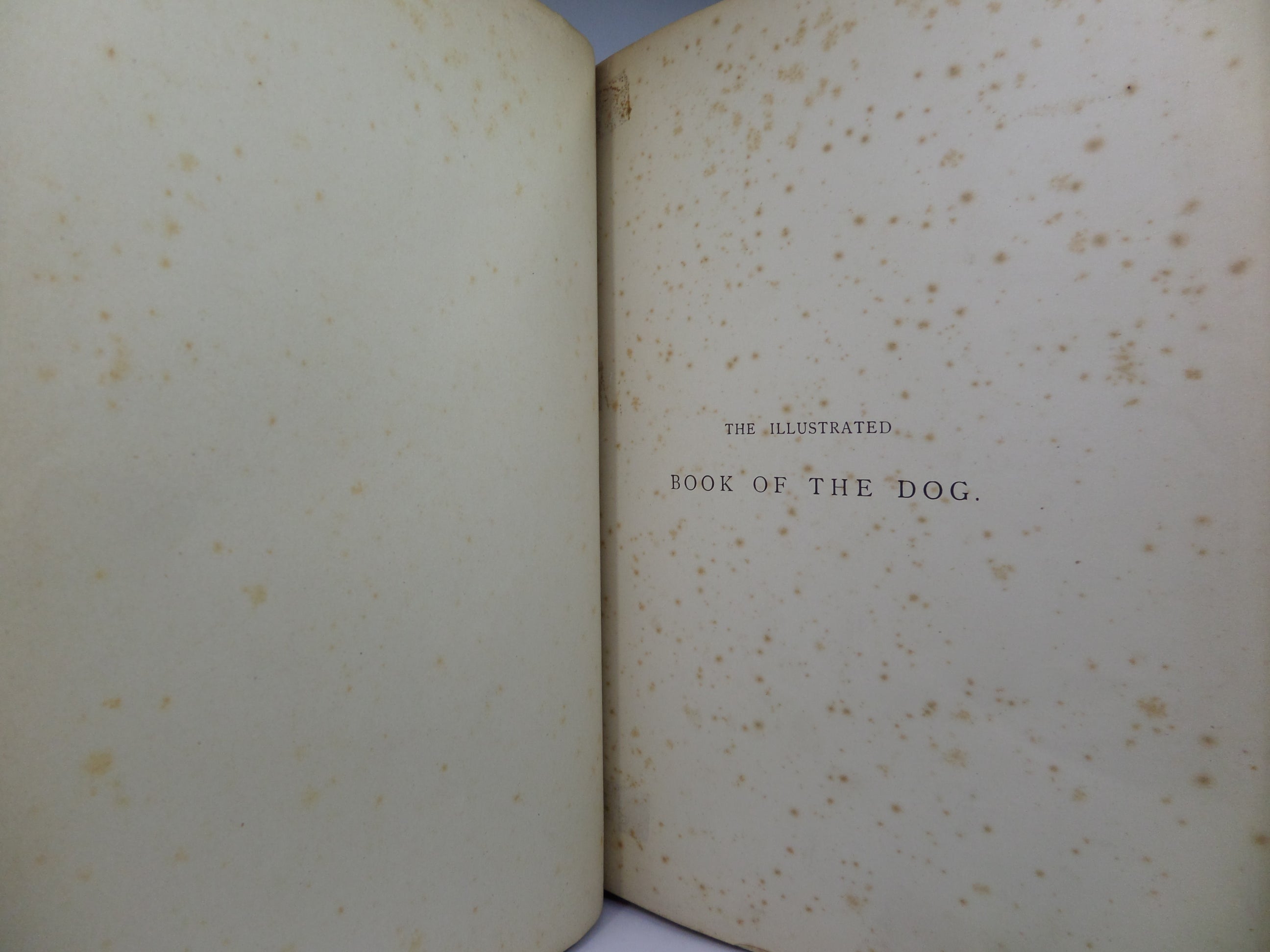 THE ILLUSTRATED BOOK OF THE DOG BY VERO SHAW 1881 FIRST EDITION