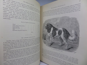 THE ILLUSTRATED BOOK OF THE DOG BY VERO SHAW 1881 FIRST EDITION