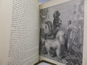 THE ILLUSTRATED BOOK OF THE DOG BY VERO SHAW 1881 FIRST EDITION
