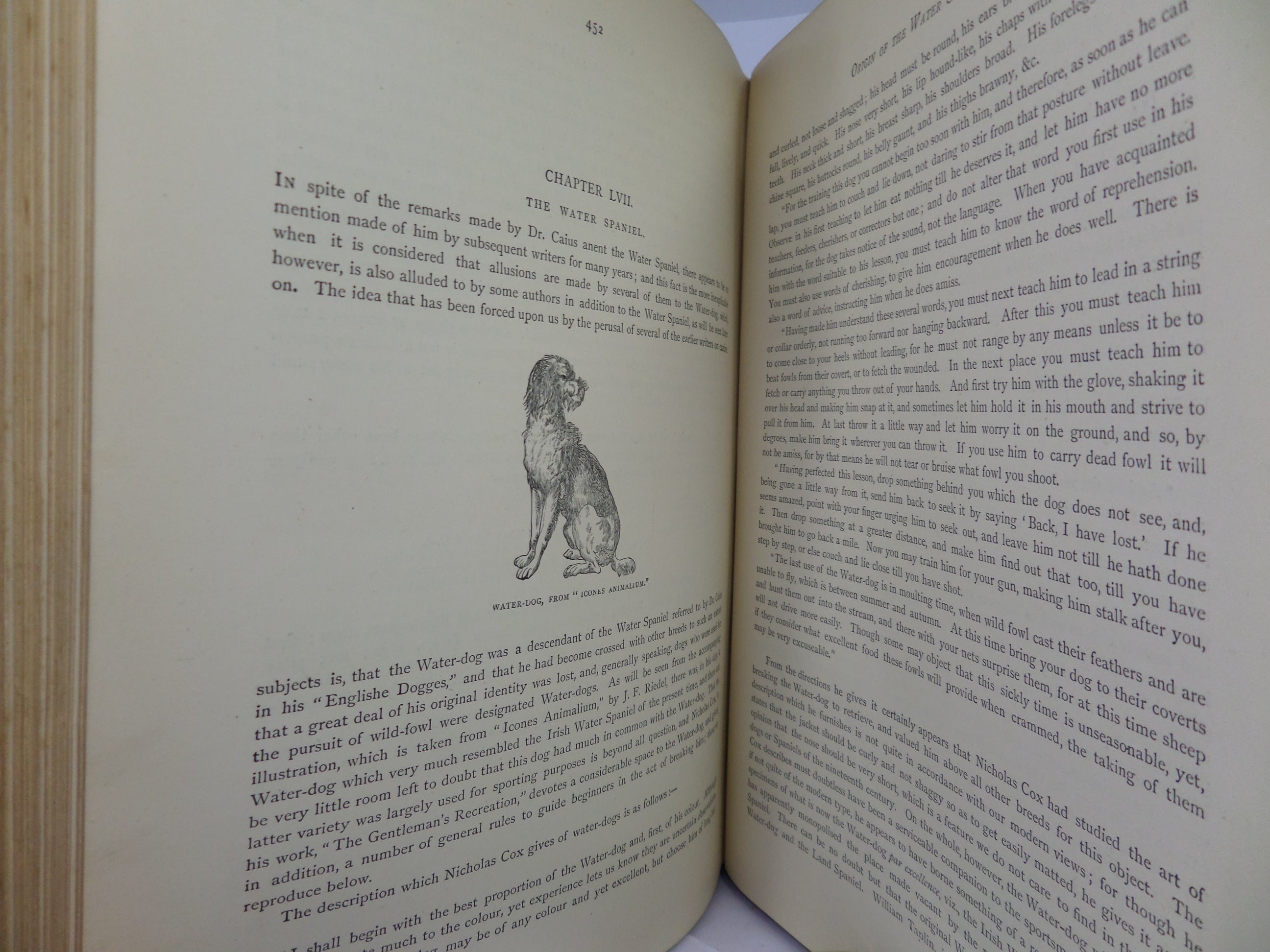 THE ILLUSTRATED BOOK OF THE DOG BY VERO SHAW 1881 FIRST EDITION