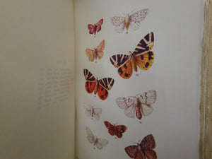 BUTTERFLIES AND MOTHS OF THE COUNTRY SIDE BY F. EDWARD HULME 1903 FINE BINDING