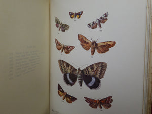 BUTTERFLIES AND MOTHS OF THE COUNTRY SIDE BY F. EDWARD HULME 1903 FINE BINDING