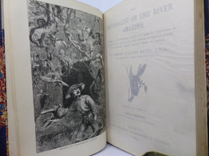 THE NATURALIST ON THE RIVER AMAZONS BY HENRY WALTER BATES 1884 LEATHER BOUND