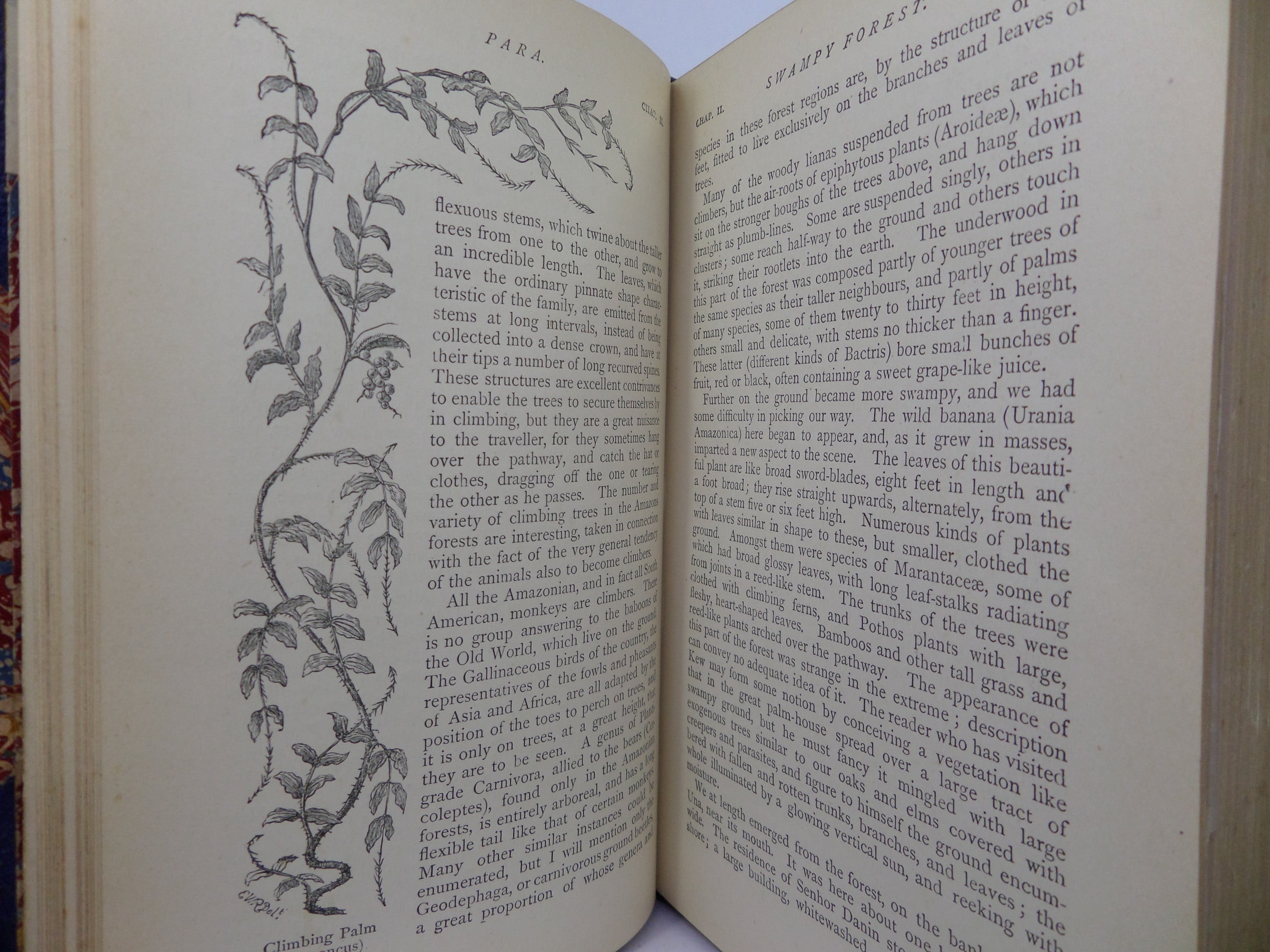 THE NATURALIST ON THE RIVER AMAZONS BY HENRY WALTER BATES 1884 LEATHER BOUND