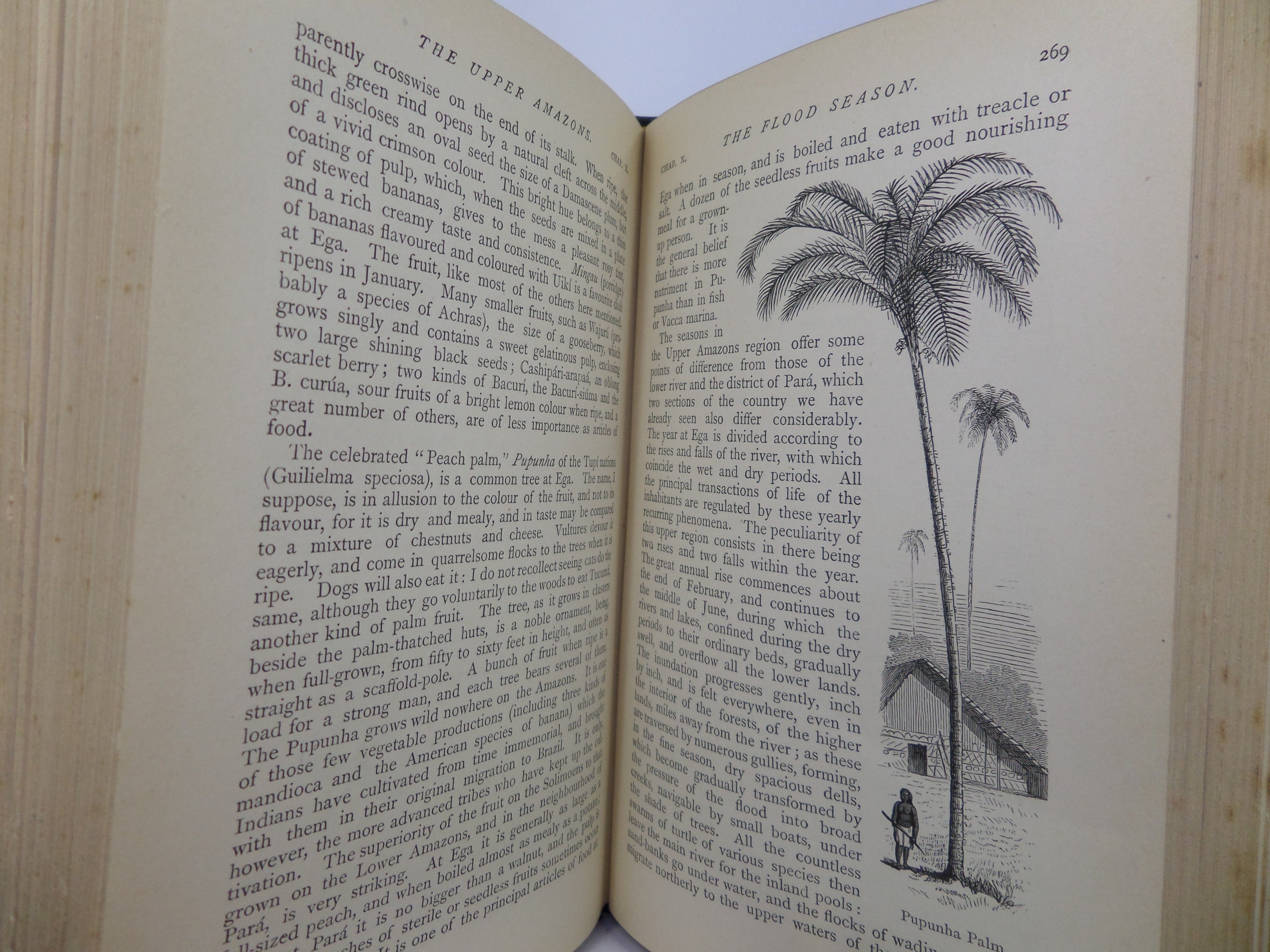 THE NATURALIST ON THE RIVER AMAZONS BY HENRY WALTER BATES 1884 LEATHER BOUND