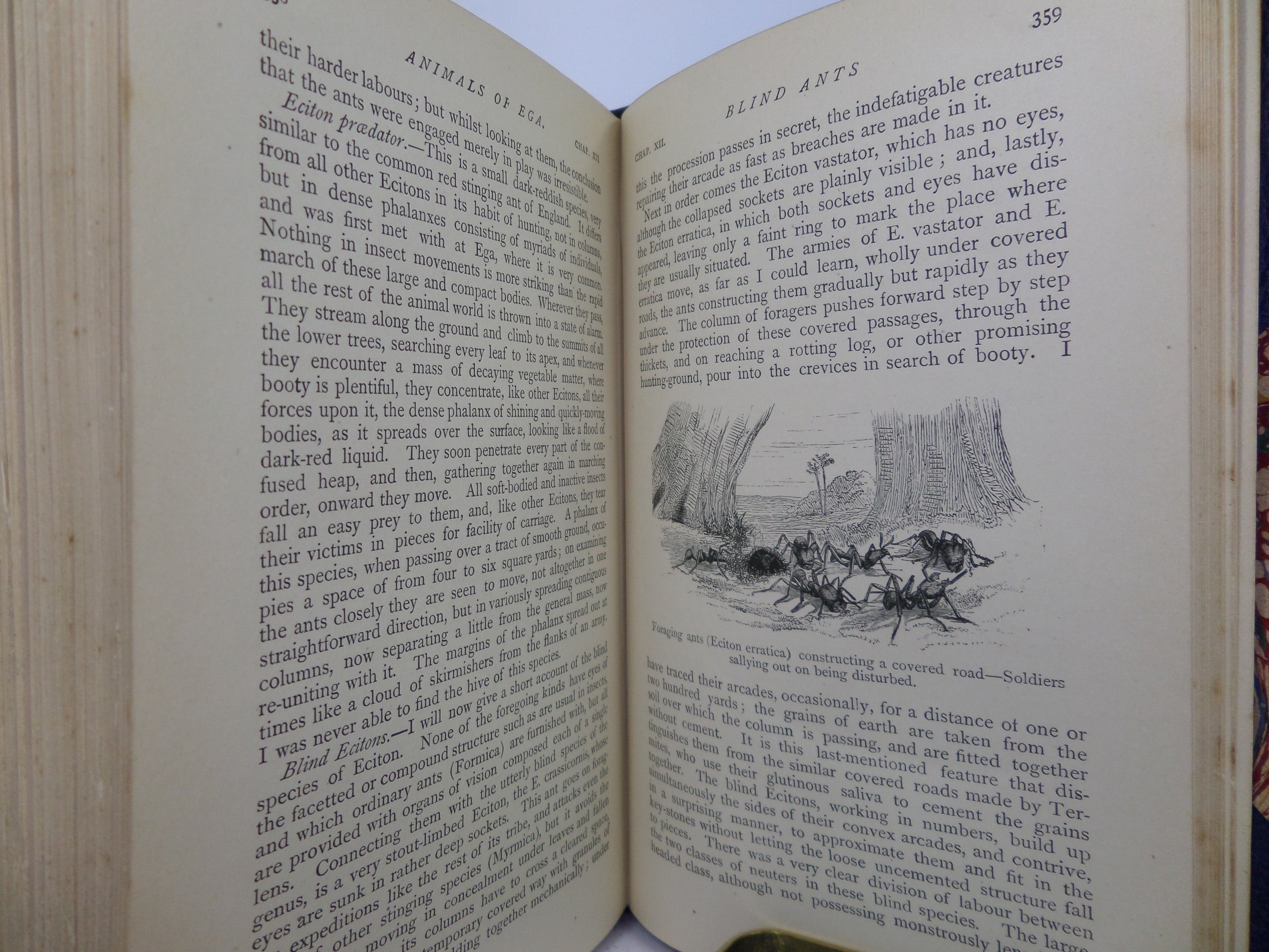 THE NATURALIST ON THE RIVER AMAZONS BY HENRY WALTER BATES 1884 LEATHER BOUND