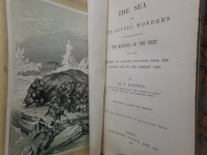 THE SEA AND ITS LIVING WONDERS BY DR G. HARTWIG 1873 FINE LEATHER BINDING