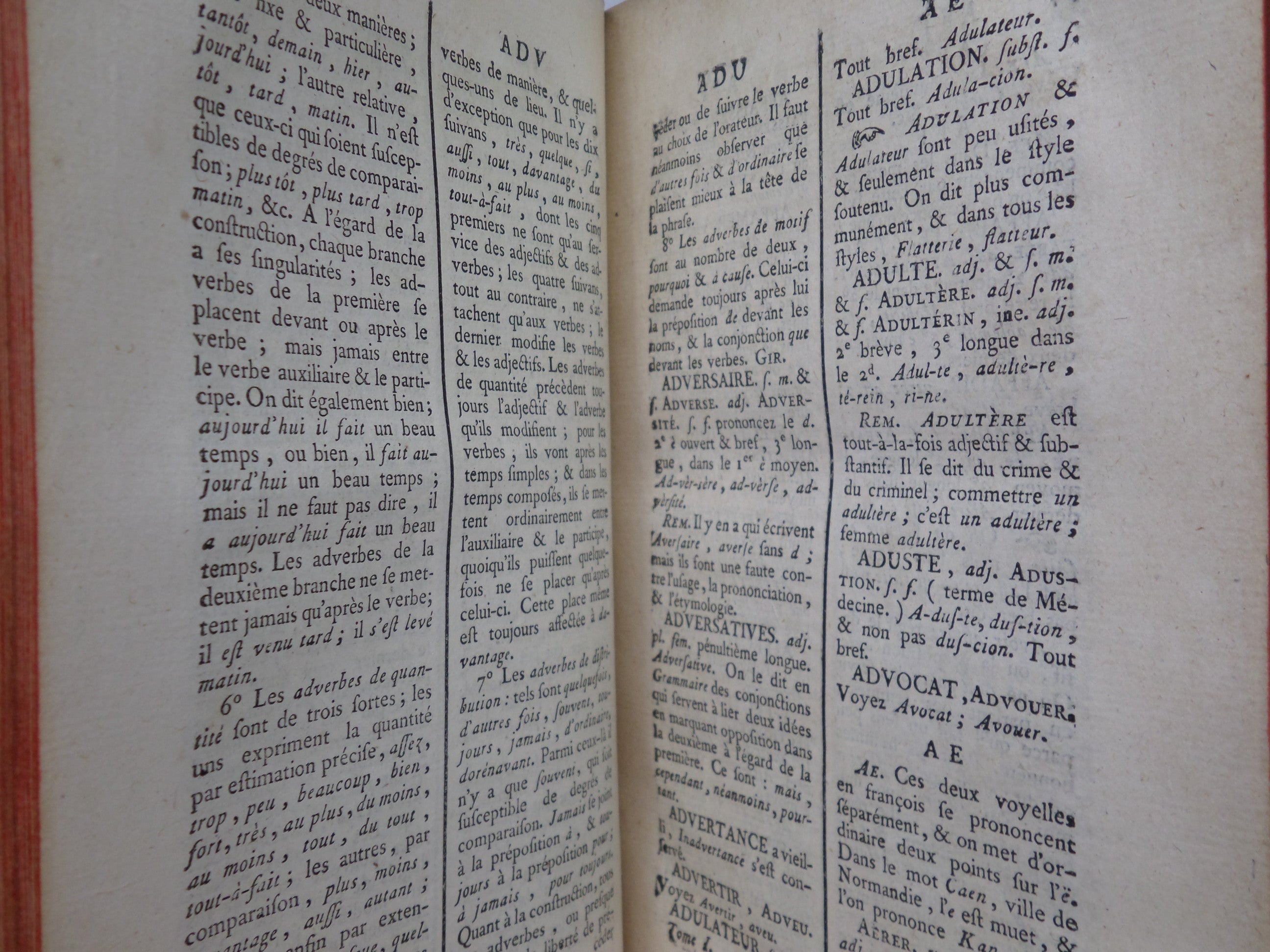 DICTIONNAIRE GRAMMATICAL DE LA LANGUE FRANCOISE 1768 LEATHER BOUND IN TWO VOLS